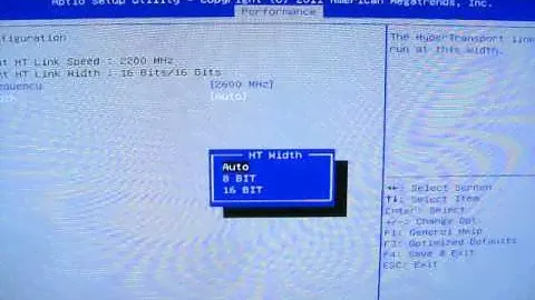 Biostar A880GZ typo + mispellings in BIOS